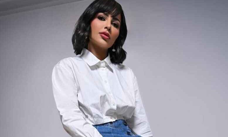 Mohamed El Sebaey, Aya Samaha Apologize