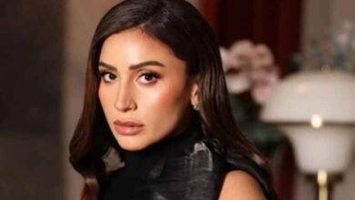 Dina El Sherbiny Deletes Film, Series Photos